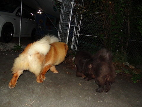 DSC08130