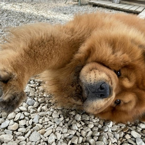 IMG_20200429_225349_502