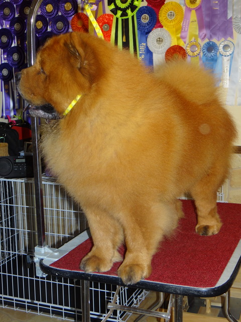 DSC07806