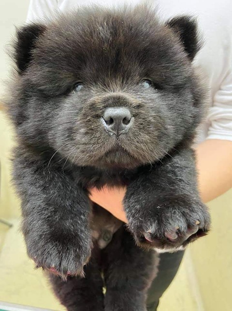 FB_IMG_1583157953813