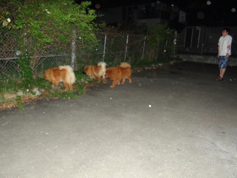 DSC08051