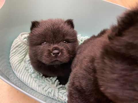 line_399809684252584