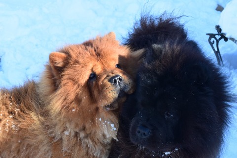 line_582440332901031