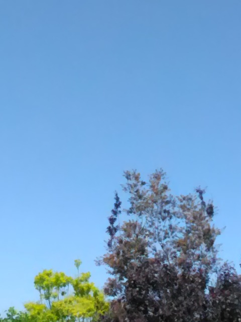 P_20190524_093157