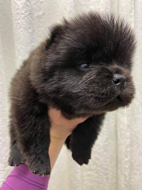 FB_IMG_1582240280633