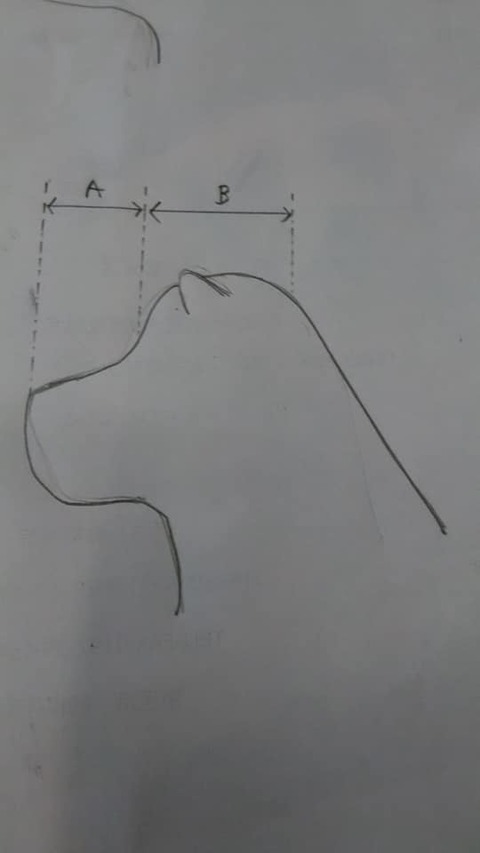 69409599_2633217130045696_7723106365127786496_n