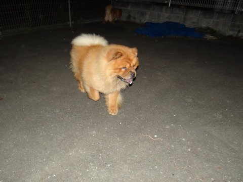 DSC08057