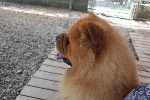 2020_20.07.07_200708