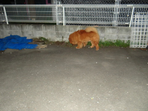 DSC08045