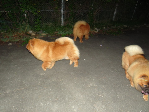 DSC08043