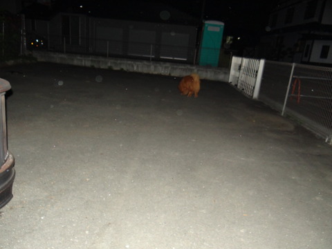 DSC08050