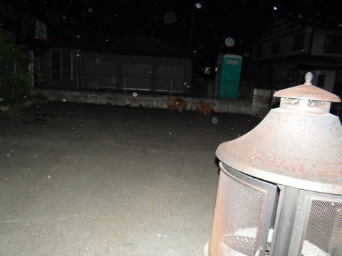 DSC08053