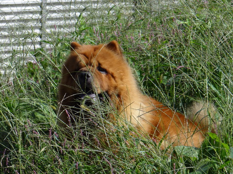 DSC08370