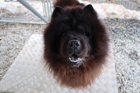 line_582439103499729