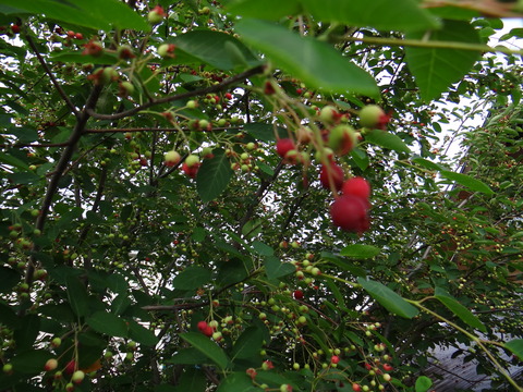 DSC06028