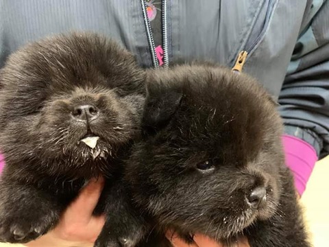 FB_IMG_1582240247676