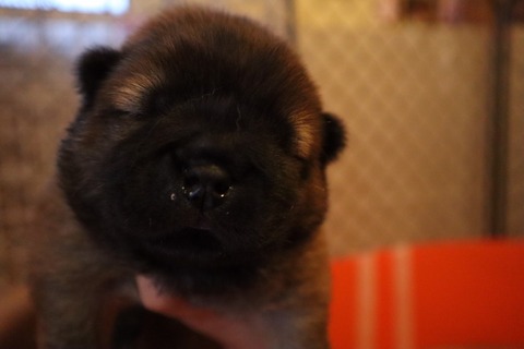 line_187441194479494