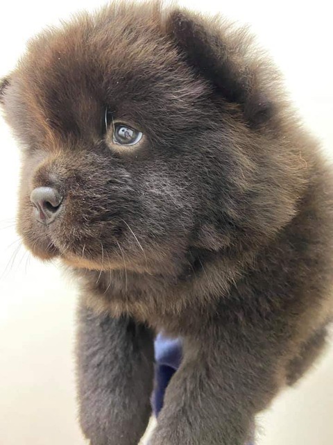 FB_IMG_1583157914129