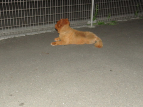 DSC07680