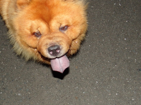 DSC07693