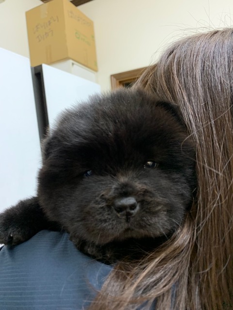 line_465245549865321