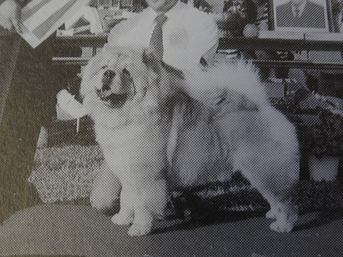 DSC07735