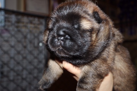 line_187412722120807