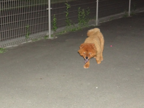 DSC07671