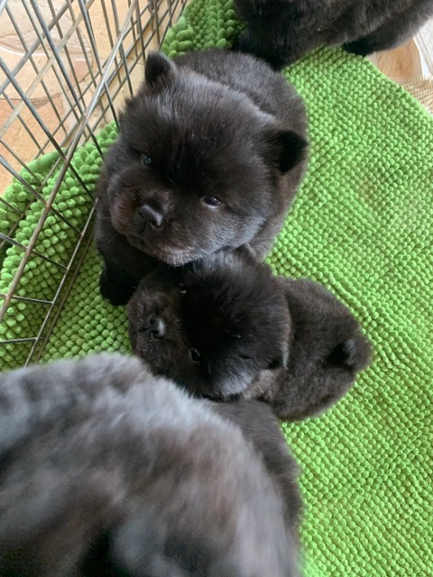 line_465250917708861