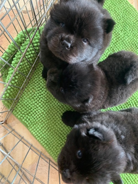 line_465258039714535