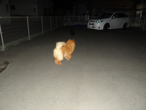 DSC07641