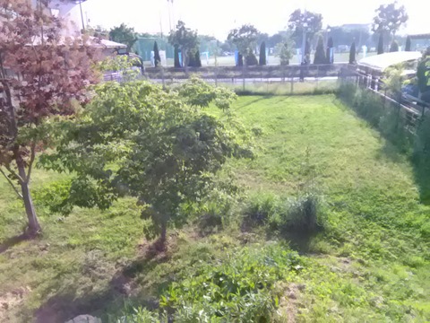 P_20190524_162732
