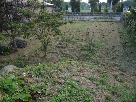 DSC08188