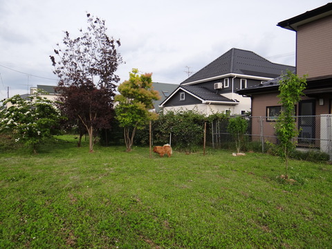 DSC05997