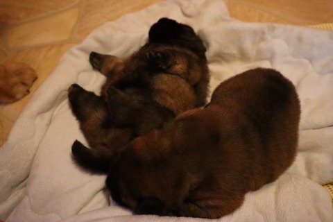 line_187469449901723