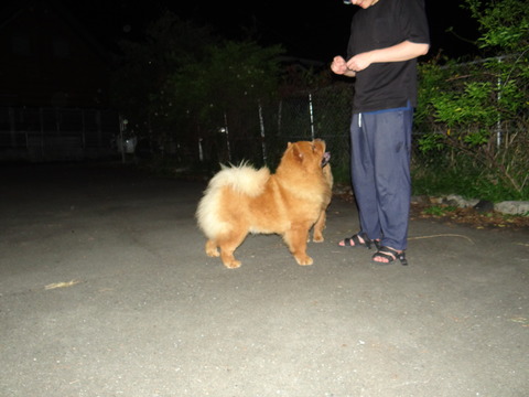 DSC08168