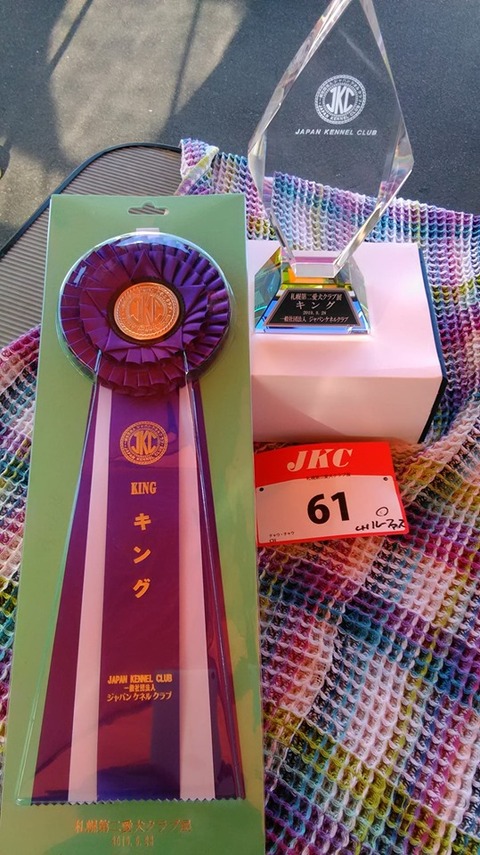 70870388_2704632739570801_5376767449309904896_n