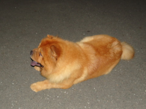 DSC07699