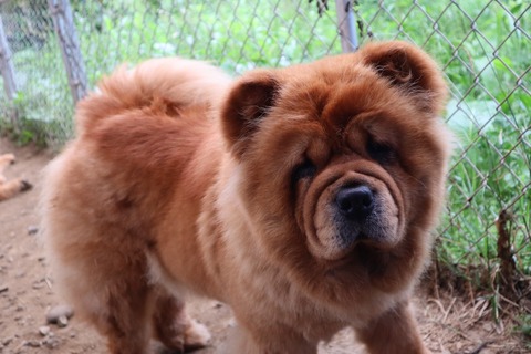 2020_15.07.08_200708