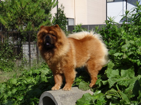 DSC08271
