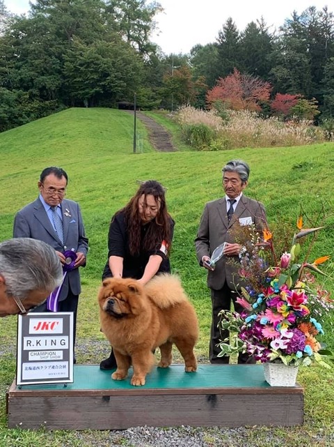 71217425_2708934299140645_2951466642086821888_n