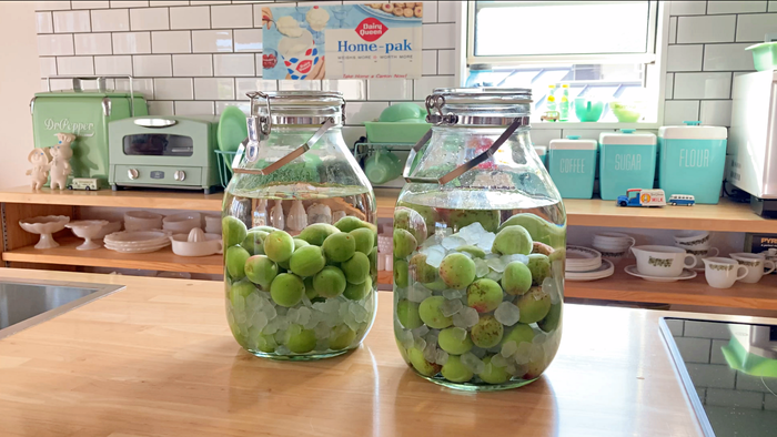 スクリーンショット 2022-06-19 11.52.42