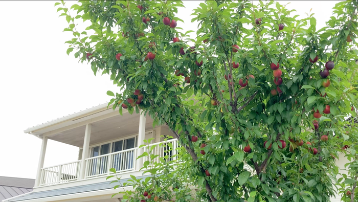 スクリーンショット 2022-06-19 14.12.46