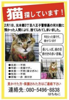 八王子署、保護した迷い猫を「河川敷に放した」保健所に連絡しないまま。飼い主「高齢、凍死の恐れも」