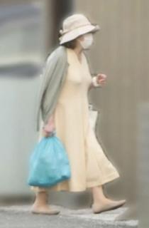 小室圭さんの母の不正受給疑惑は未解決 詐欺罪で刑事事件になる可能性も