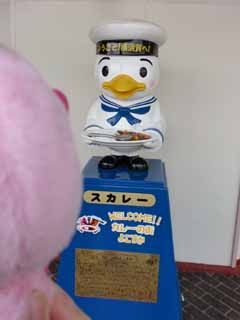 CIMG1424