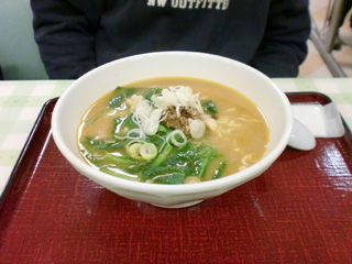 513b9b77.jpg