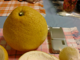 CIMG0133