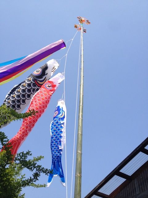 屋根より高い鯉のぼり ぴーろぐ 屋根より高い鯉のぼり ぴーろぐ