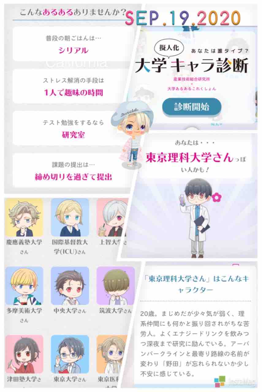 大学キャラ診断 きまぐれにゃんこ先生の部屋